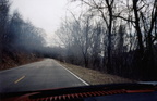 01Skyline01.jpg