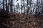 01Skyline03.jpg