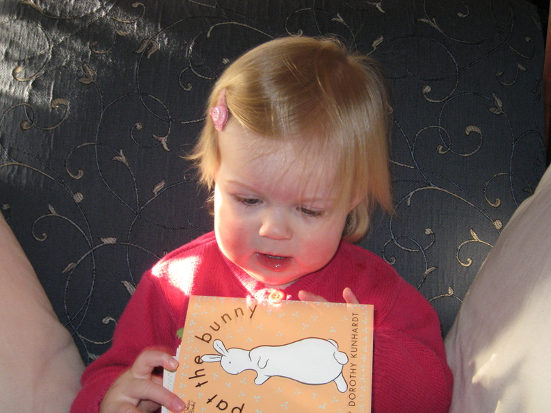 Abigail reading a book