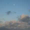 Afternoon moon