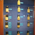 Officers of the ship
